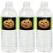 Big Dot of Happiness Jack-O'-Lantern Halloween - Kids Halloween Party Water Bottle Sticker Labels - Set of 20